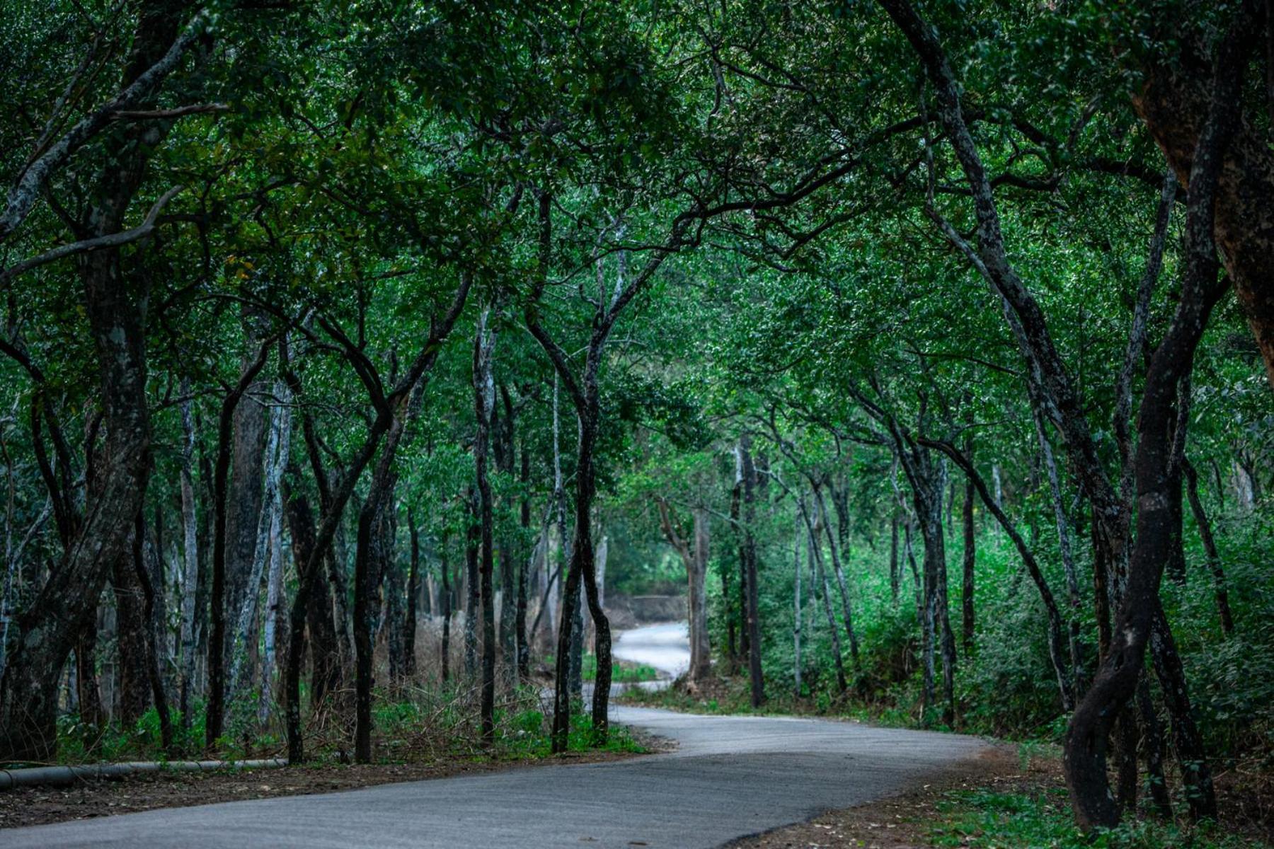 Nature Tones By Brdge Hospitality Maraiyūr エクステリア 写真