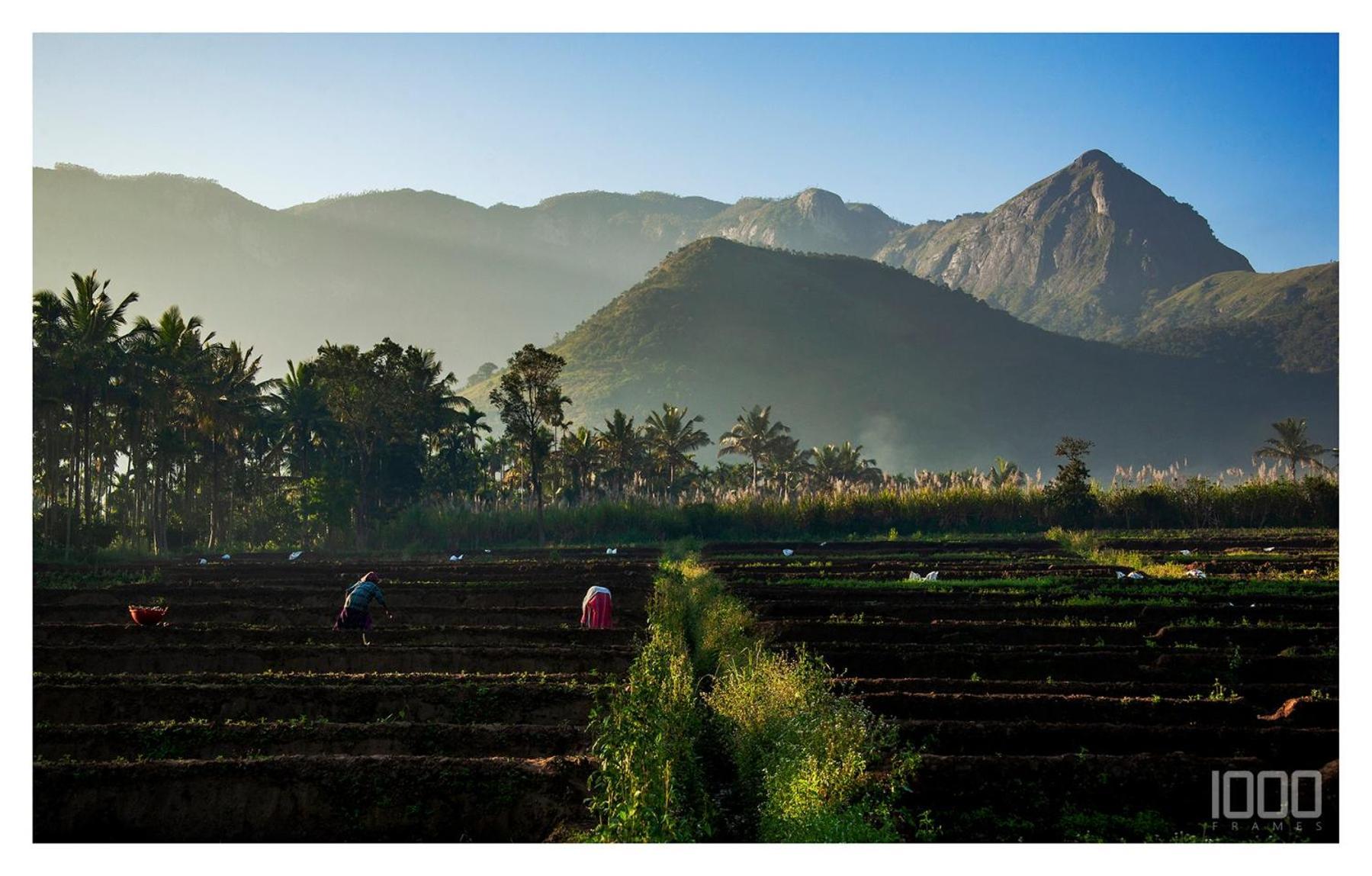 Nature Tones By Brdge Hospitality Maraiyūr エクステリア 写真