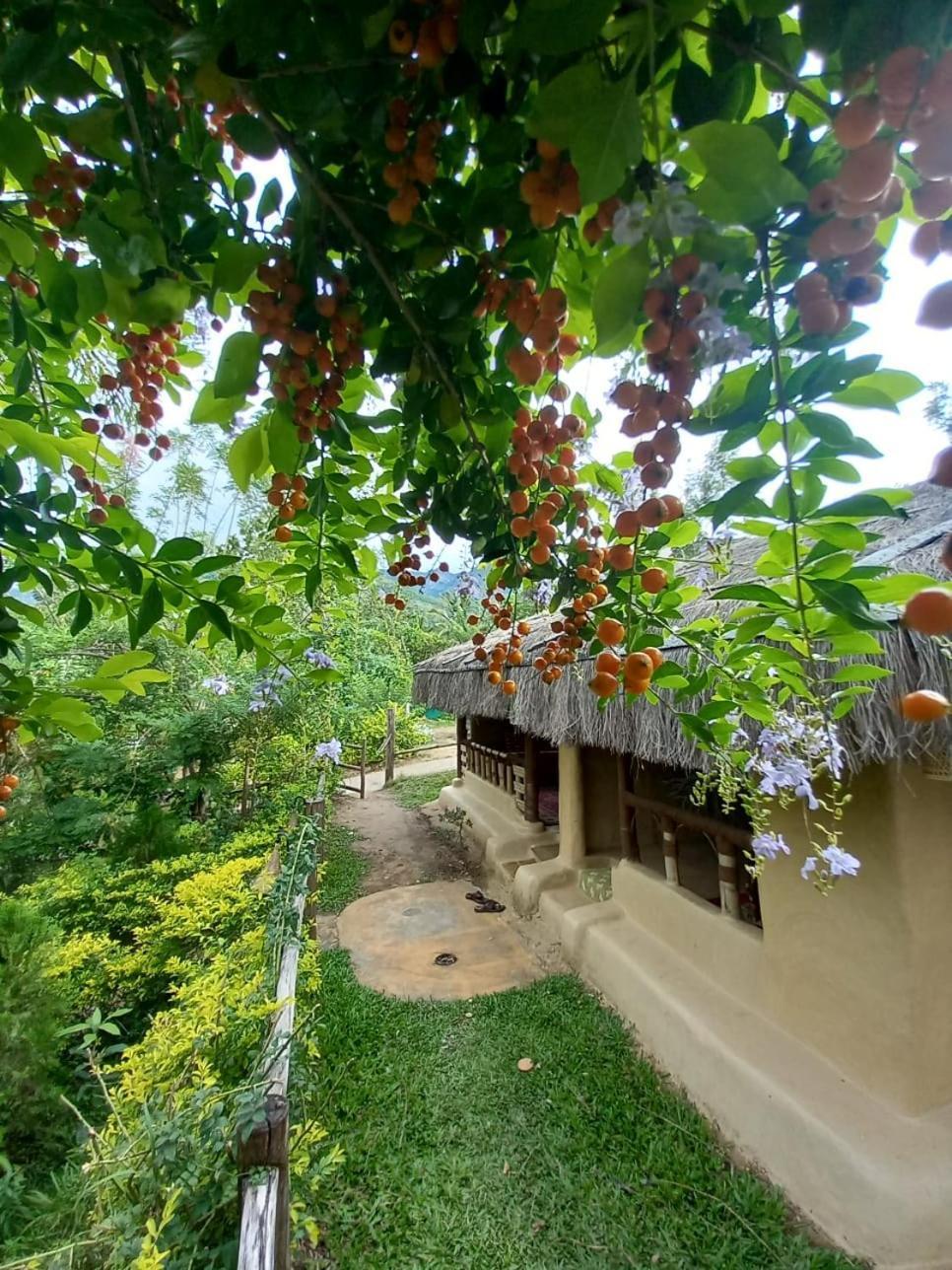Nature Tones By Brdge Hospitality Maraiyūr エクステリア 写真