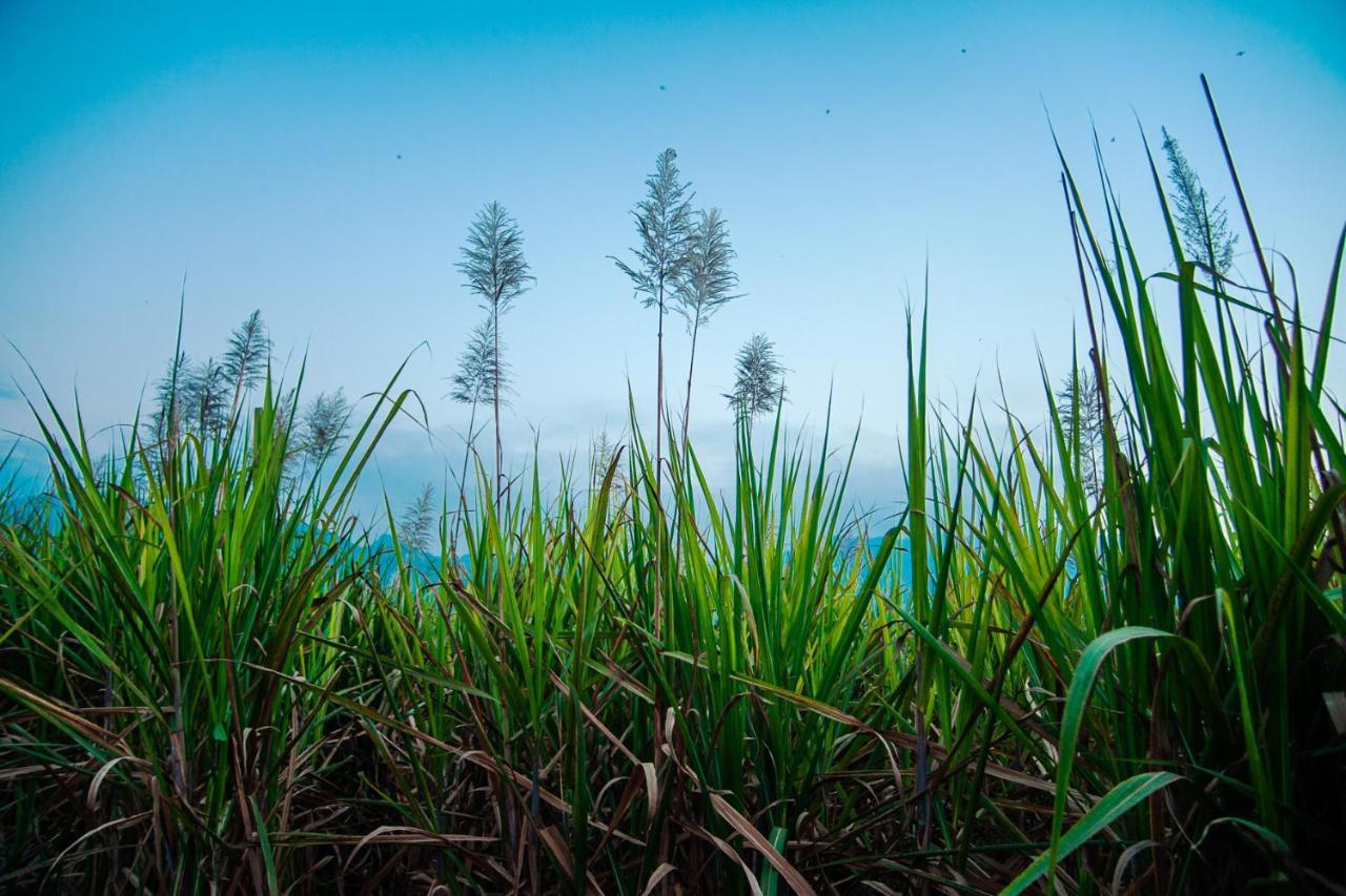 Nature Tones By Brdge Hospitality Maraiyūr エクステリア 写真