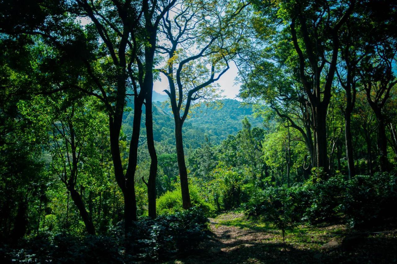 Nature Tones By Brdge Hospitality Maraiyūr エクステリア 写真