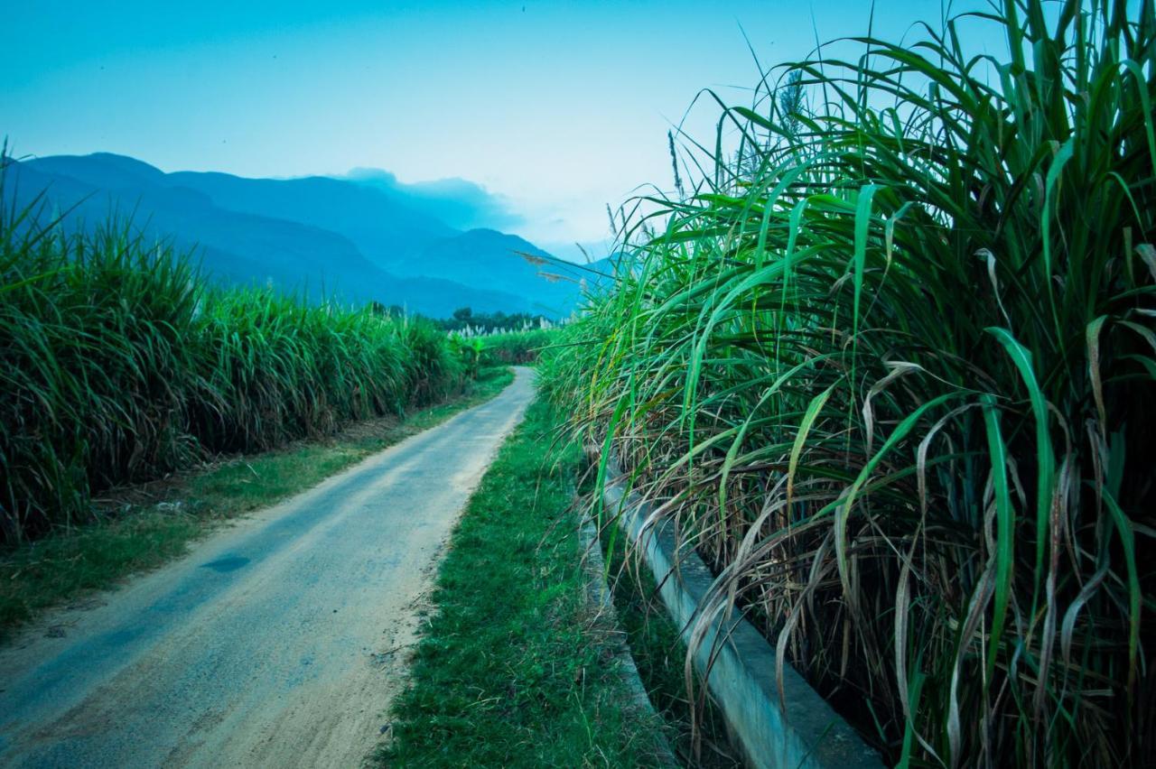 Nature Tones By Brdge Hospitality Maraiyūr エクステリア 写真