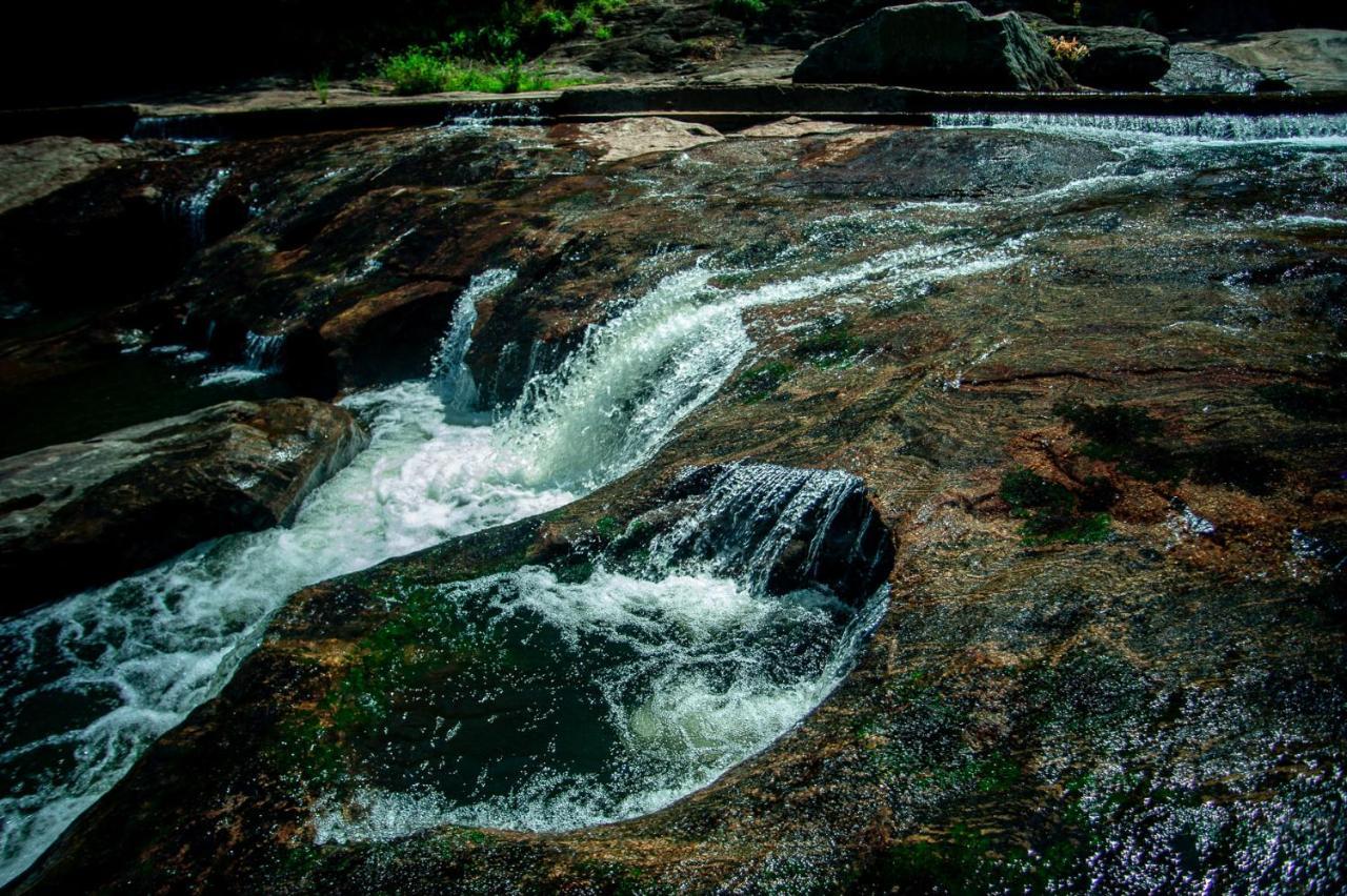 Nature Tones By Brdge Hospitality Maraiyūr エクステリア 写真